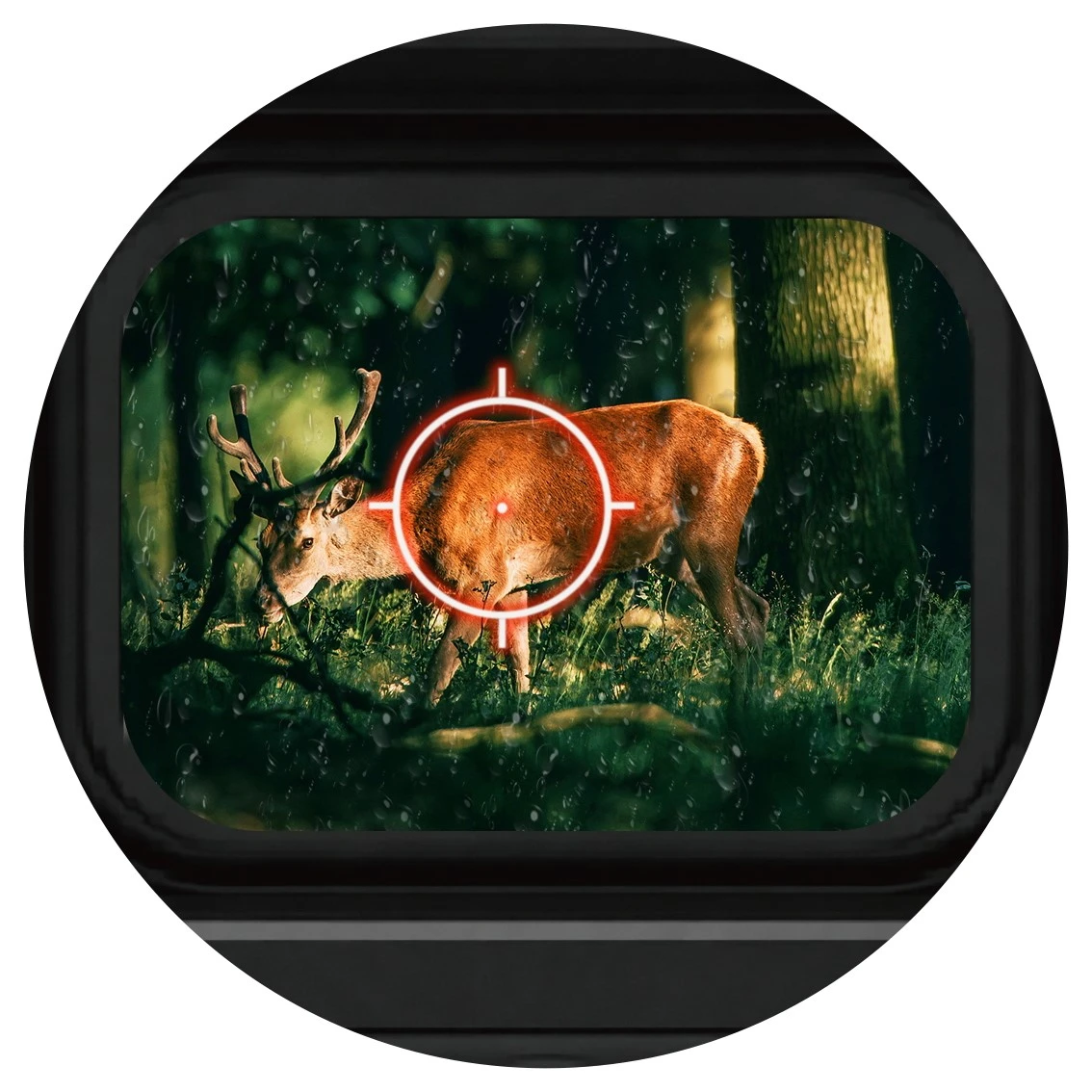 Best Holographic Sight for DT-QX8 in 2026: Full Buyer’s Guide